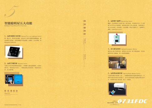 收入证明_奢侈品导购收入(3)