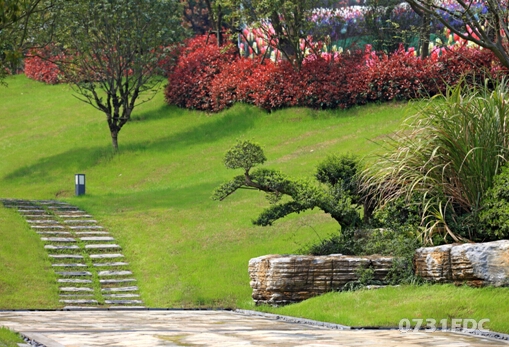 8万平绿谷花海,2万方景观湖面,不负爱健康的你!