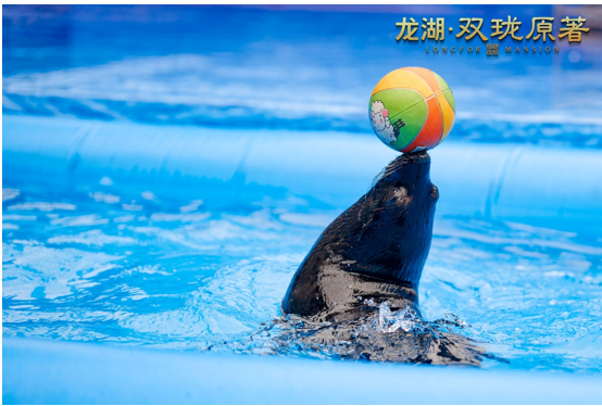 嗨翻常德!龙湖?双珑原著首届海洋梦幻秀引全城狂欢!